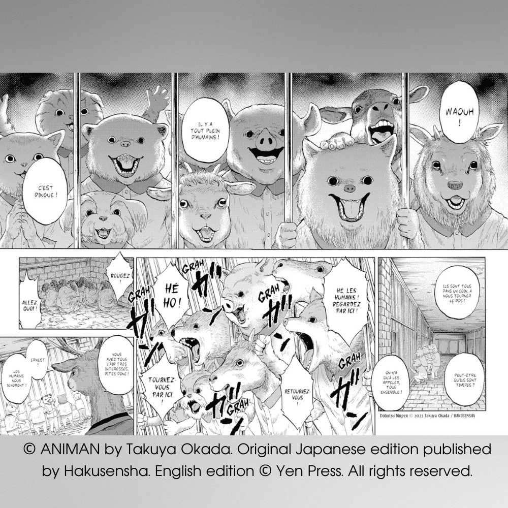Animan manga page2